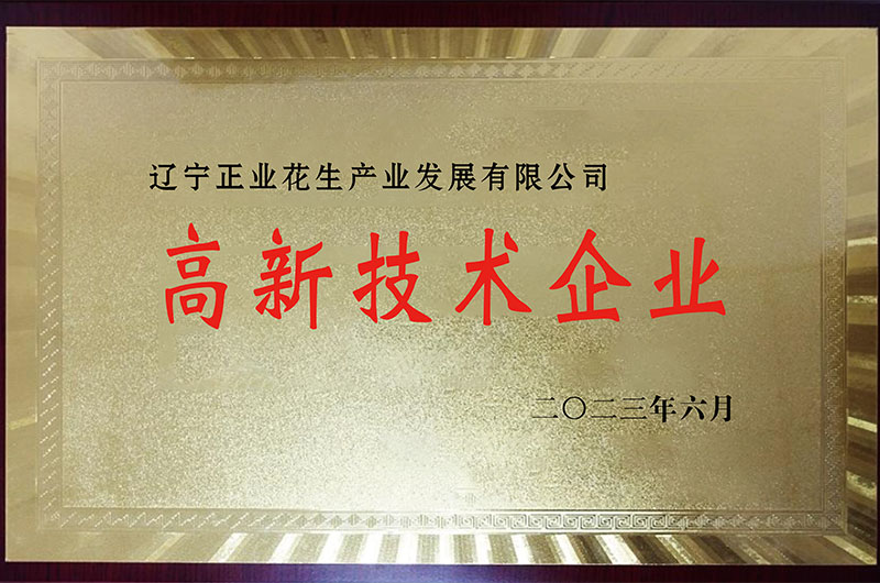 高新技术企业
